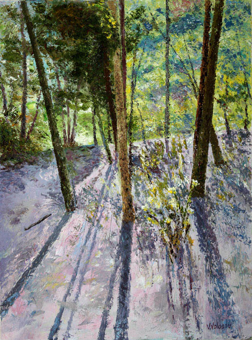 1107.Sunny Forest.jpg