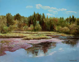 1108.Forest Lake. jpg