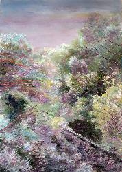 877.Old Forest.jpg