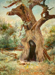 924.Old Oak.jpg